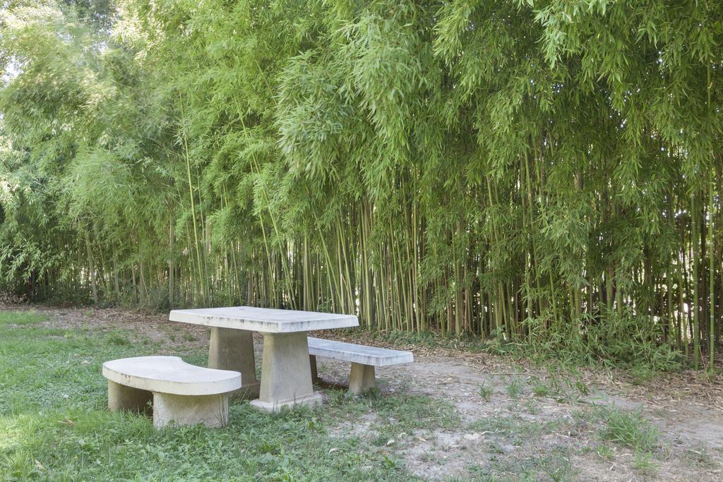 Park Le Magnolie Badia Polesine